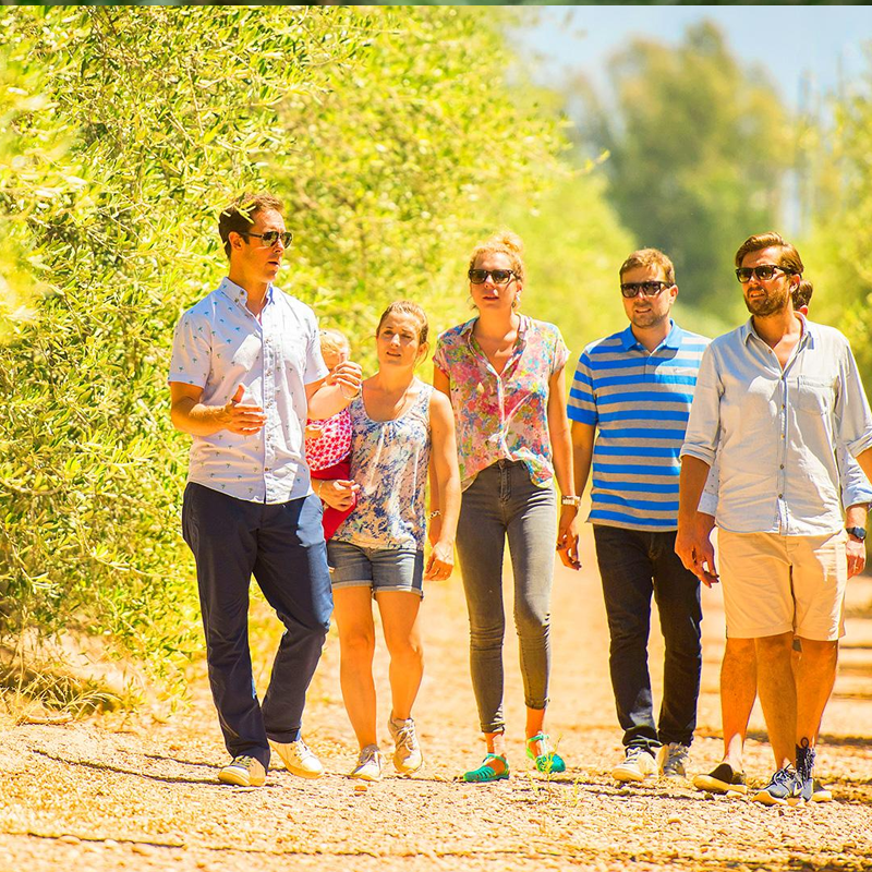 rutas de vino mendoza, bodegas de vino